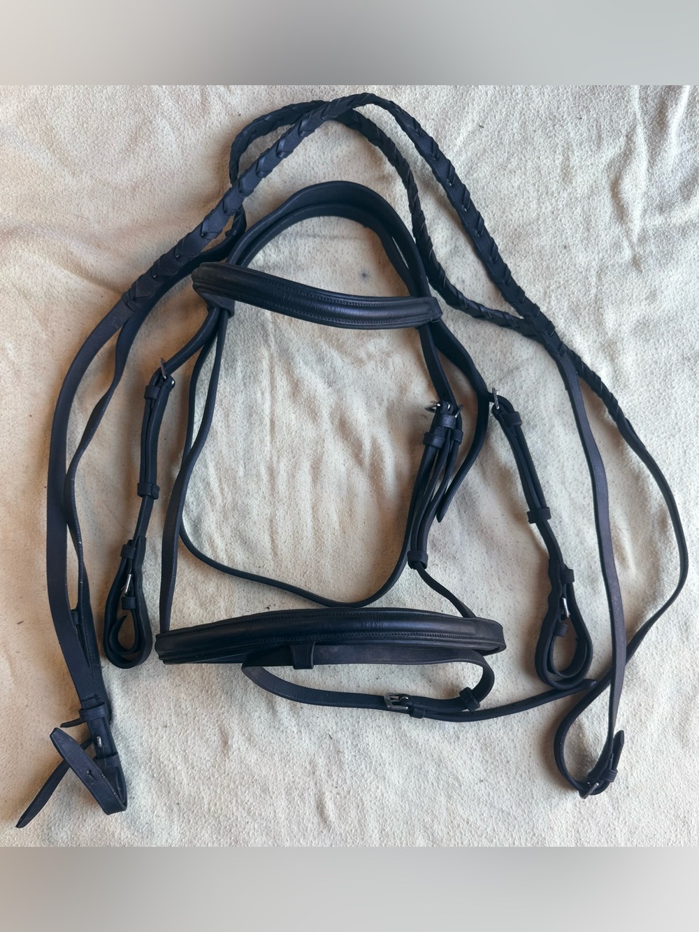 Cob sized black DaVinci flash bridle